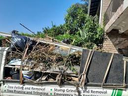 Best Yard Waste Removal  in Atkins, IA